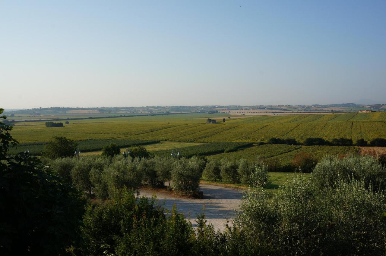 Agriturismo S.Angelo Villa Foiano Della Chiana Exterior foto
