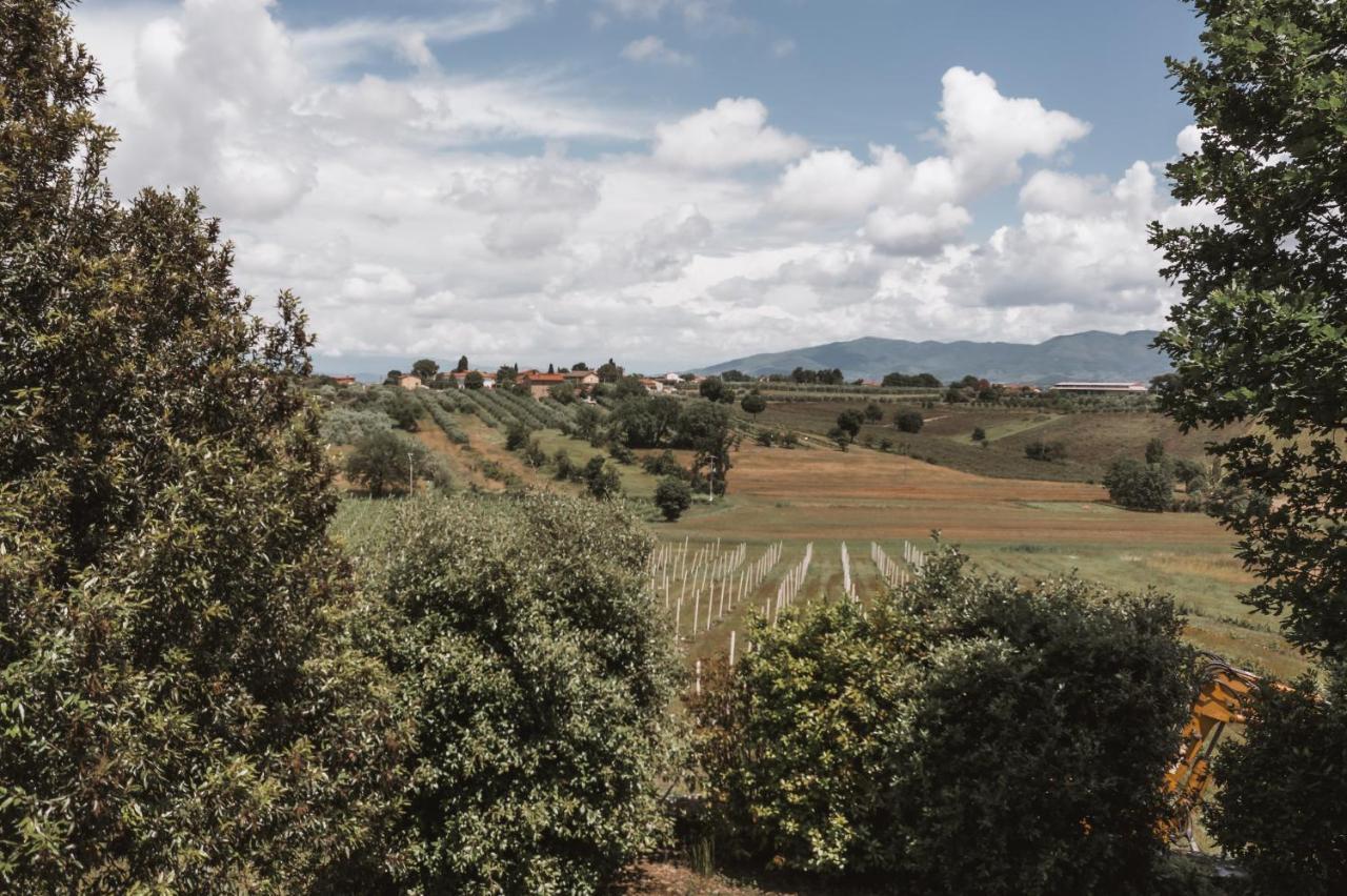 Agriturismo S.Angelo Villa Foiano Della Chiana Exterior foto